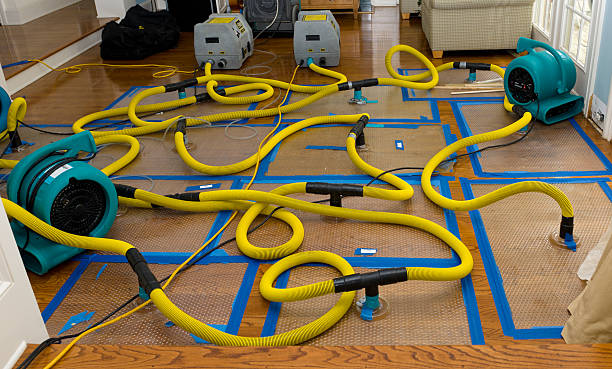 Professional Water Damage Restoration technician working in Saint James City, FL